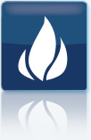 Natural Gas News Information Category from Platts